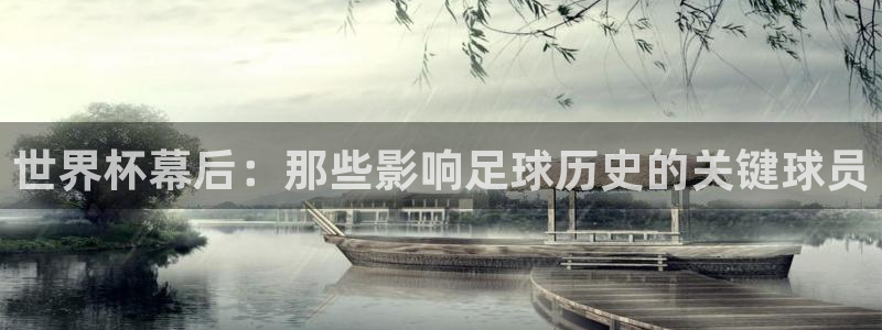 2006年世界杯冠军:世界杯幕后:那些影响足球历史的关键球员