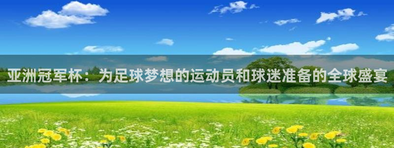 世界杯球队排名:亚洲冠军杯:为足球梦想的运动员和球迷准备的全球盛宴