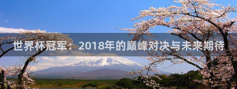 世界杯2026比赛时间表:世界杯冠军:2018年的巅峰对决与未来期待