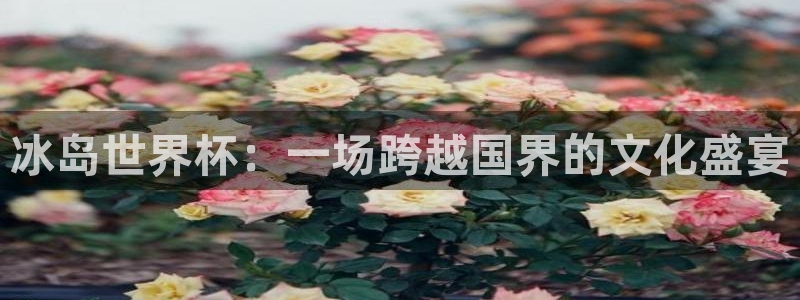 世界杯足球赛:冰岛世界杯:一场跨越国界的文化盛宴