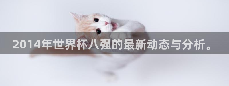 2026年世界杯赛程时间表格:2014年世界杯八强的最新动态与分析。