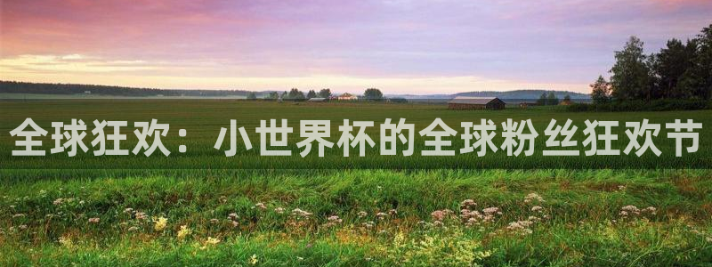 世界杯赛程2026:全球狂欢:小世界杯的全球粉丝狂欢节
