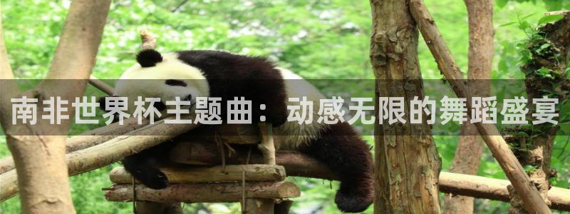 足球世预赛:南非世界杯主题曲:动感无限的舞蹈盛宴
